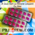 À Quoi Sert Le Miracle Léopard Du Miel 10
